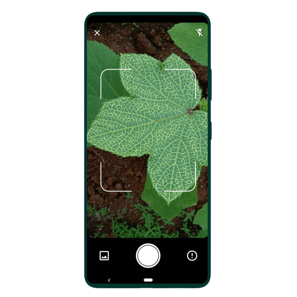Plant Disease Detector