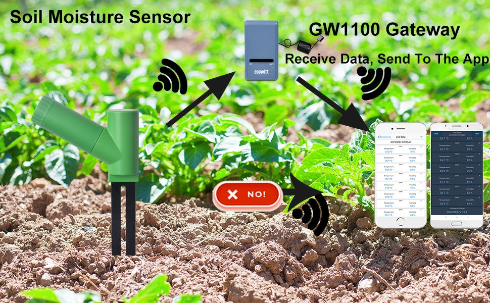 Soil Moisture Monitor